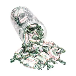 Guylian Temptations Original chocolade - "Happy Birthday" verjaardagscadeau Hot