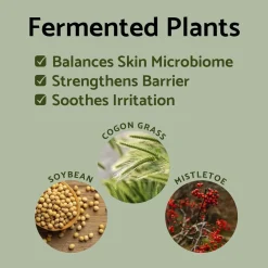 IUNIK Propolis Vitamin Sleeping Mask Best