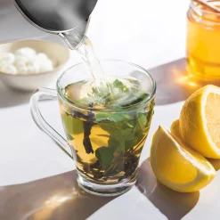 KitchenBrothers Dubbelwandige Waterkoker met Temperatuurregeling