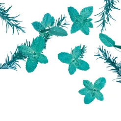 Kneipp Goodbye Stress Watermunt Rozemarijn Badolie Outlet