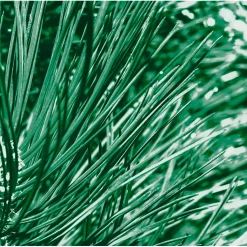 Kneipp Men Nature Feeling Dennen, Buffelgras & IJslands Mos 2-in-1 Douche Clearance