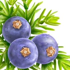 Kneipp Muscle Soothing Jeneverbes Badkristallen New