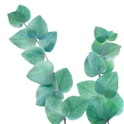 Kneipp Refreshing Eucalyptus Badkristallen Best