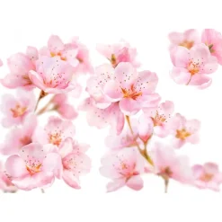 Kneipp Soft Skin Amandelbloesem Badschuim Discount