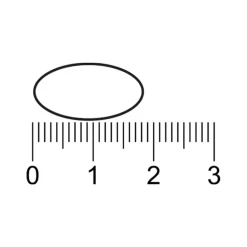 Kruidvat Collageen 1000mg Tabletten Online