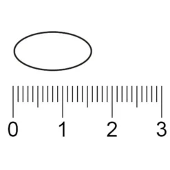 Kruidvat Stress Moment Sterk¹ Tabletten Sale