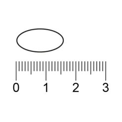 Kruidvat Vitamine B Complex 50mg Tabletten New