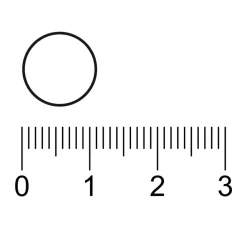 Kruidvat Zink Tabletten Best