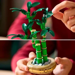 LEGO Botanicals 10344 Lucky Bamboo