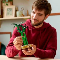 LEGO Botanicals 10344 Lucky Bamboo