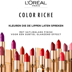 L'Oreal L'Oréal Paris Color Riche Nude Intense 300 Le Rouge Paris Satin Lippenstift Sale