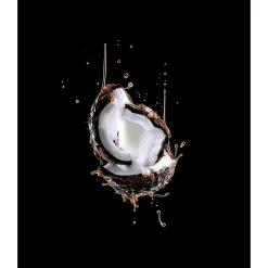 Elvive L'Oréal Paris Extraordinary Oil Fijne Kokosolie 2-In-1 Haarmasker Hot