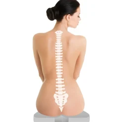 Lucovitaal Bamboe Steun Zitkussen