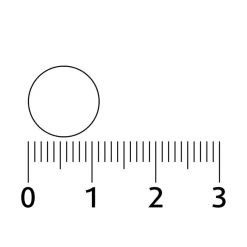 Lucovitaal Biotine Forte 10.000mcg Zuigtabletten New