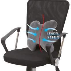 Lucovitaal Ergonomisch Rugkussen Best