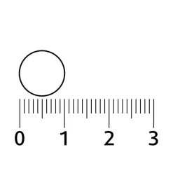 Lucovitaal Overgang Balans Tabletten New