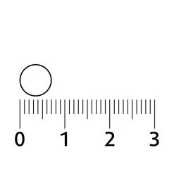 Lucovitaal Vitamine D3 25mcg Capsules New