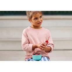 Mepal 300 ML Fruitbox Campus Little Farm Best