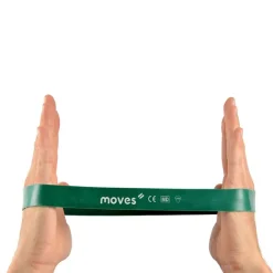 MoVeS Miniband Online