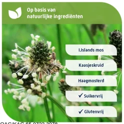 Natterman Direct Voor Alle Hoest Suikervrije Siroop Clearance