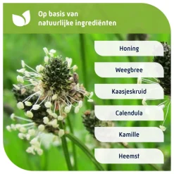 Natterman Voor Alle Hoest Nacht Adult Clearance