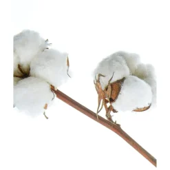 Nivea Classic Care Milde Shampoo Online