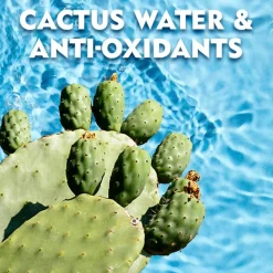 Nivea Men Fresh Kick Antitranspirant Roller Hot