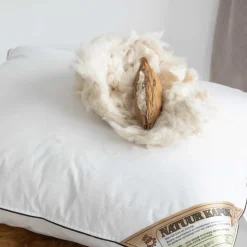 NachtrustOnline NRO Medium Kapok Kussen Best