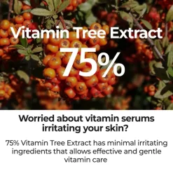 Numbuzin No.5 Goodbye Blemish Serum Hot