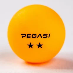 Pegasi 2 ster pingpong ballen 6st. New