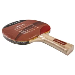 Pegasi tafeltennisbatje 3 ster Skilled Hot