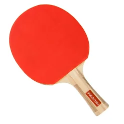 Pegasi tafeltennisbatje 3 ster Skilled Hot