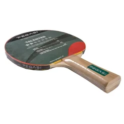Pegasi tafeltennisbatje 2 ster Talented Online