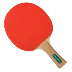 Pegasi tafeltennisbatje 2 ster Talented Online