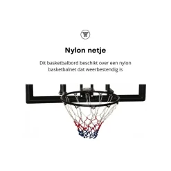 Pegasi basketbalbord School