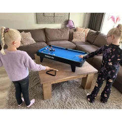 Pegasi pooltafel Mini Online