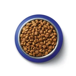 One Purina Bifensis Adult Droog Kattenvoer met Zalm Hot