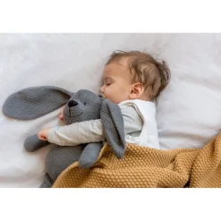 Zwitsal Robijn Geurbuiltjes Discount