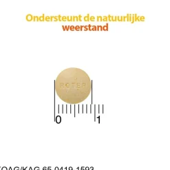 Roter Vitamine C 70 mg Suikervrije Kauwtabletten Clearance