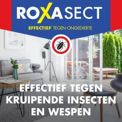 Roxasect Spuitbus tegen Kruipende Insecten en Wespen New