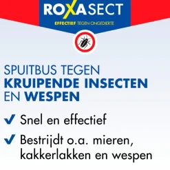 Roxasect Spuitbus tegen Kruipende Insecten en Wespen New