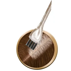 Schwarzkopf Color Schwarzkopf Vital R2 Goudbruin Haarverf Uitgroeiset Best