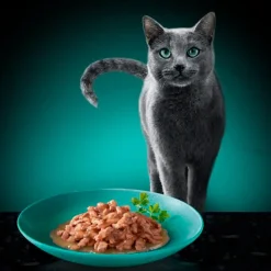 Sheba Délices du Jour in Saus met Zalm, Tonijn & Forel Maaltijdzakjes Kattenvoer Outlet