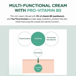 SKIN1004 Madagascar Centella Tea-Trica B5 Cream New