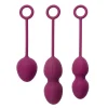 Svakom Nova Kegel Training Set New