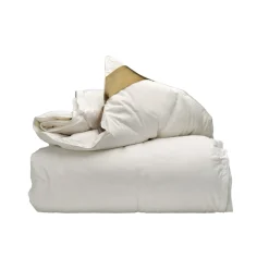 Ten Cate 100% Ganzendonzen 4-Seizoenen Dekbed Discount