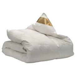 Ten Cate 100% Ganzendonzen 4-Seizoenen Dekbed Online
