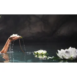 Therme Zen White Lotus Massageolie Best
