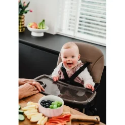 TitaniumBaby Titanium Baby Solid Kinderstoel New