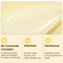 TORRIDEN SOLID-IN All Day Essence